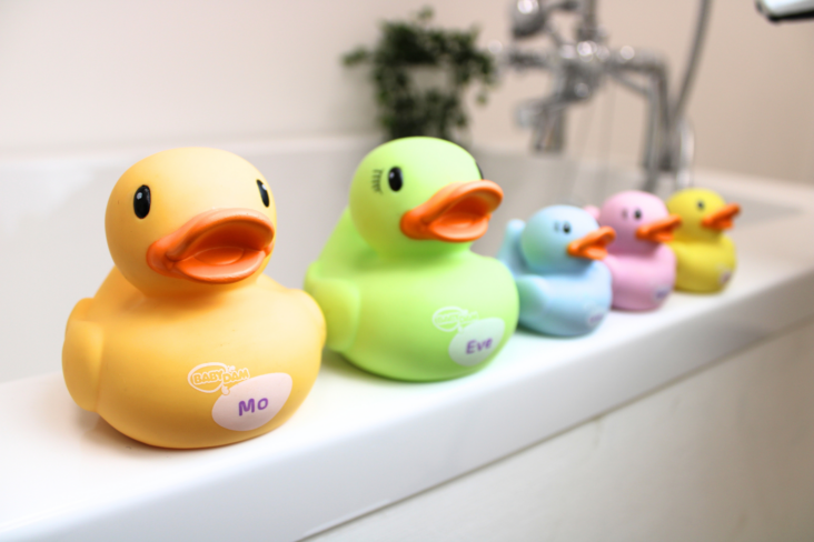 Family of Bath Toy Ducks - Image 3