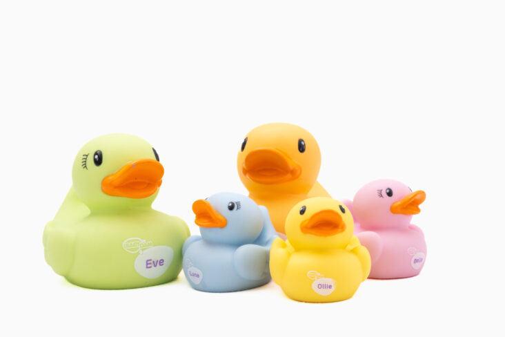 Family of Bath Toy Ducks