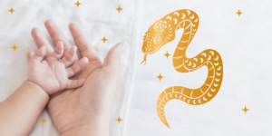 Welcoming Your 2025 Baby: A Year of the Snake Arrival!